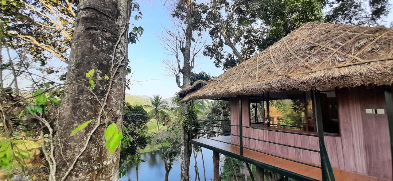 Ferienwohnung Noah'S Nest Tree House Thekkady Exterior foto