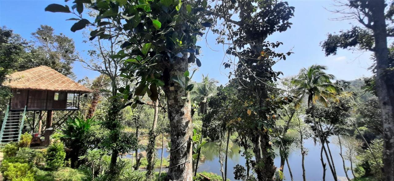 Ferienwohnung Noah'S Nest Tree House Thekkady Exterior foto
