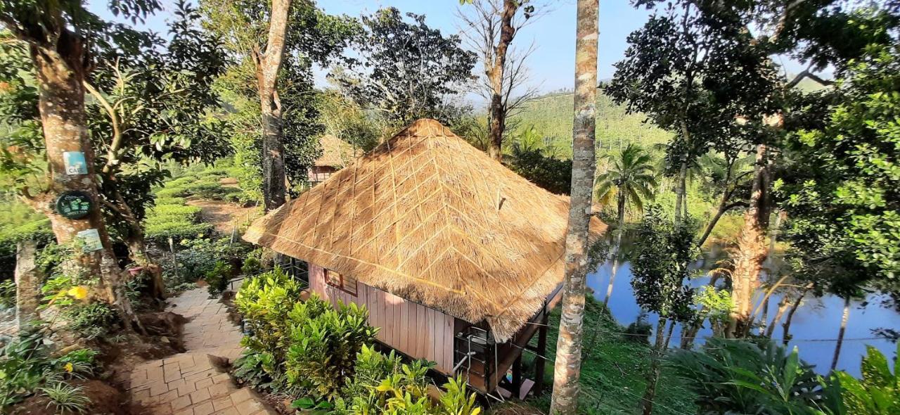 Ferienwohnung Noah'S Nest Tree House Thekkady Exterior foto