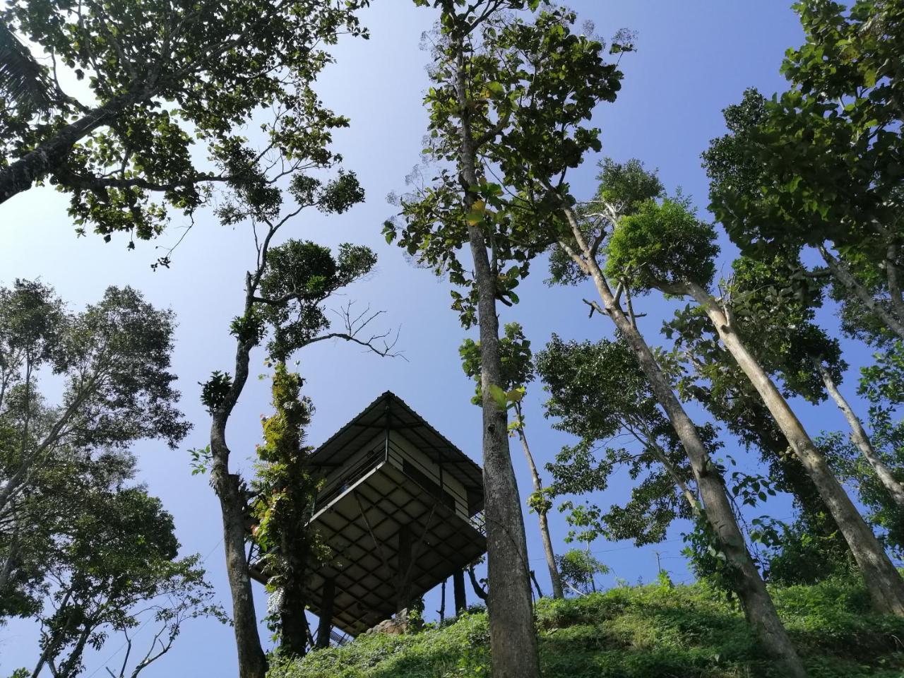 Ferienwohnung Noah'S Nest Tree House Thekkady Exterior foto