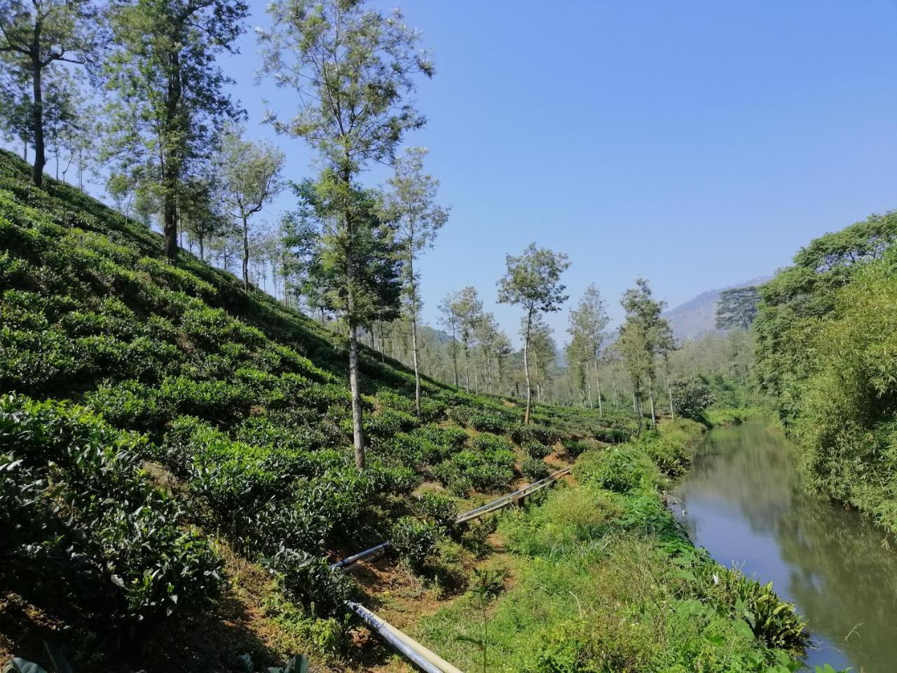 Ferienwohnung Noah'S Nest Tree House Thekkady Exterior foto
